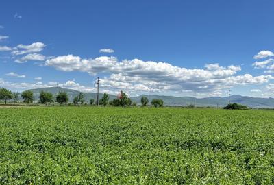 Teren intravilan Zona Metropolitana Brasov - 8