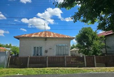 Casă în Băneasa - 2