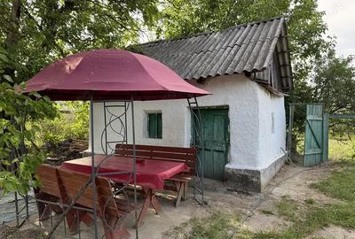 Casă cu 3 camere în Uileacu de Munte - 1