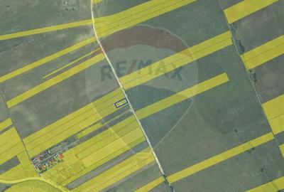 Teren de 600 mp, în Vânători - 1