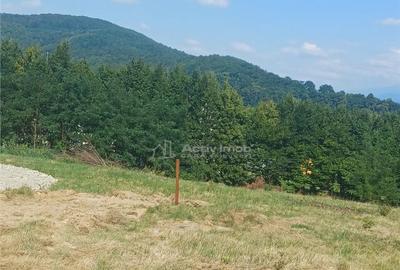 Teren 1344 mp de cu autorizatie de constructie str Cindrel