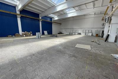 Hala industriala - 440mp - str. Republicii (E85) - 1