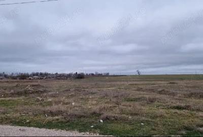 Teren de 3000 mp, în Central - 2