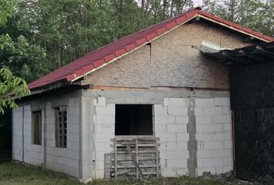 Casă individuală cu 2 camere cu Teren 7769 Mp în Budieni - 8