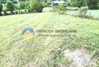 TEREN intravilan comuna TARCAU - STRAJA - 4