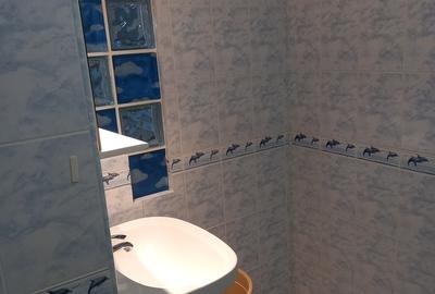 Vitan, Mall Vitan, in fata - 4