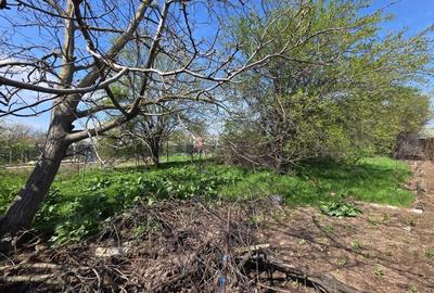 Investitie ideala in Clinceni – Teren 1.655mp - 5