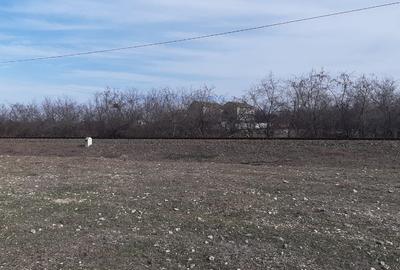 # Vand Teren Intravilan, Fix Pe Malul Lacului (deschidere 25ml), in Eforie Sud # Vand Teren Intravilan, Fix Pe Malul Lacului (deschidere 25ml), in Eforie Sud - 10