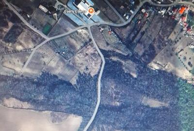 Teren de 1000 mp, în Comarna - 4