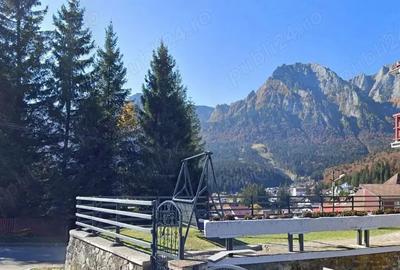 Teren de 1315 mp, în Valea Alba - 3