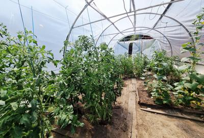 Proprietate mixta 1200mp teren locuinta si spatiu comercial / productie - 5