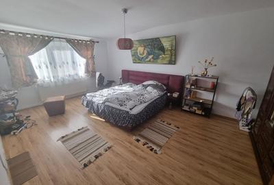 Soveja institut marina-casa P+M din bca la cheie - 17