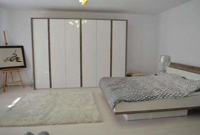 Casa Peciu Nou renovata 270 mp utili,4330 mp teren front 25 ml - 8