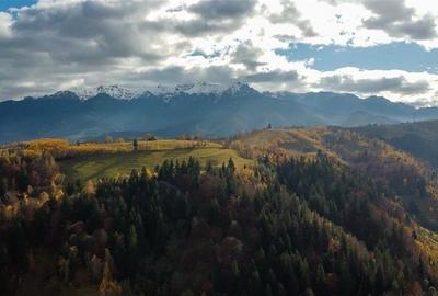 FILM! Teren intravilan spectaculos,1.000 mp,Moieciu,panorama 180 grade,potential - 1