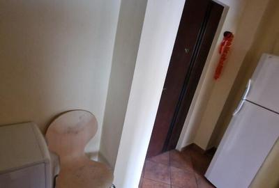 Garsoniera Astra-Zorilor - 5