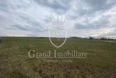 Teren intravilan, zona Calea Someseni - 2