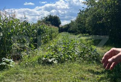 Casa saseasca Harman, ideala pentru o familie mare sau inves - 4