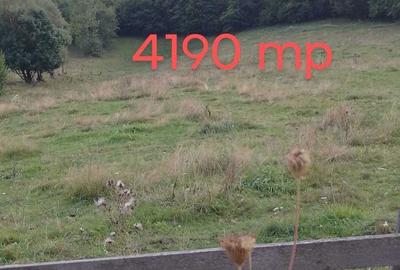 Spațiu comercial, în Scrind-Frăsinet - 1