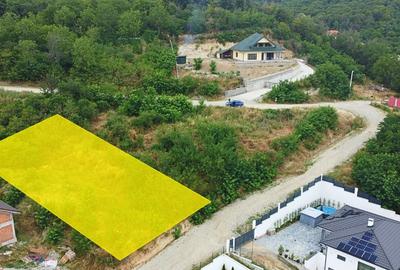 TEREN INTRAVILAN - RM. VALCEA - 10