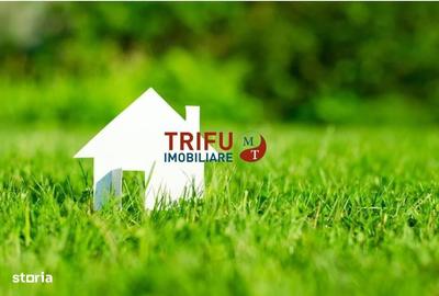 Spațiu comercial, în Central