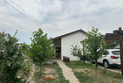 Casa nou construita - Sat Camineasca 40 km din Bucure?ti - 3