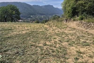 Spațiu comercial, în Bran