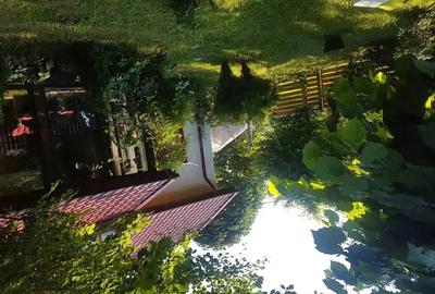 Casă cu 7 camere cu Teren 300 Mp în Lepșa - 2