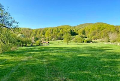 Teren superb Rasnov cu priveliste si rau - 4