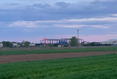 Teren Construcții intravilan de 10000 mp, în Afumați - 10
