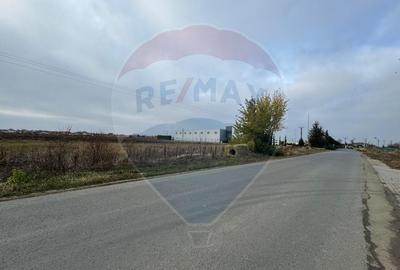 Terenuri 1000 mp- pt.hale, depozite, spatii de productie sau logistica - 3