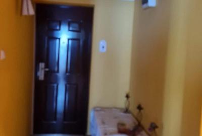 Apartament cu 2 camere în Central - 3