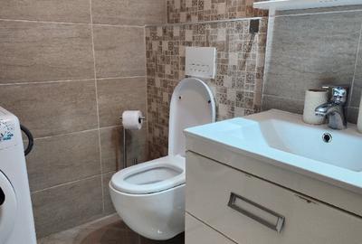 Apartament inchiriat 3cam 2 dormitoare,living,bucatarie,Dec,Carpa?ilor - 13