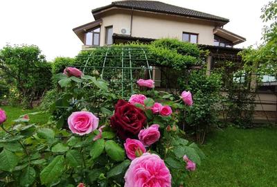 Vila individuala S+P+1+M - Matei Millo / 810mp teren - 2