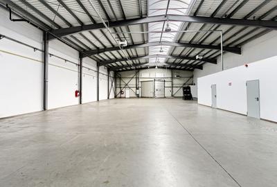 Spațiu industrial, de 727 mp, în Sud - 1