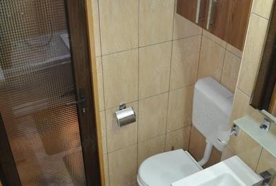 Garsonieră decomandată, mobilată în Take Ionescu - 5