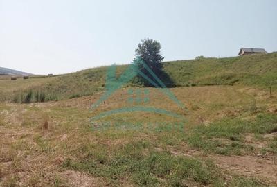 Teren intravilan, 3000 mp, în Corușu! - 3
