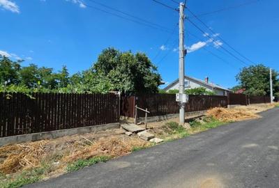 Casa la curte lângă balta Mostistea Casa la curte lângă balta Mostistea - 3