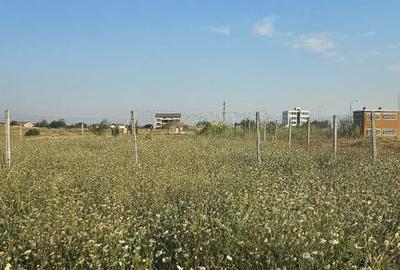 Teren Veterani/ colt - 1