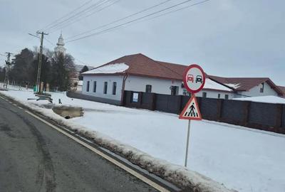 Teren de 140000 mp, în Foeni - 2