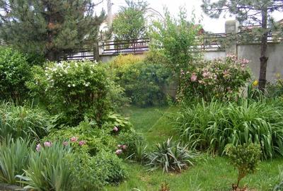Vanzare vila cu D+P+Et +M, intravilan 1670 mp, Saftica - 26