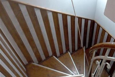 Apartament in vila, 3 camere etajul 1+Pod inalt mansardabil, in proprietate, Emi - 10