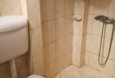 Studio tip Loft Piata Unirii - 6