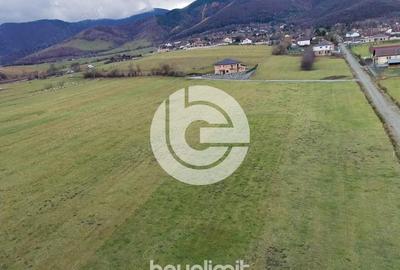 Teren intravilan in Tocile - 4354 m2 - 2 fronturi - oferta competitiva - 2