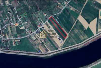 Teren de 8632 mp, în Podgoria - 4