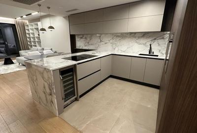 Apartament cu 2 camere semidecomandat în Herăstrău - 3