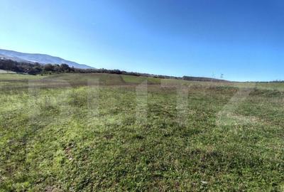 Teren intravilan de vanzare - 2