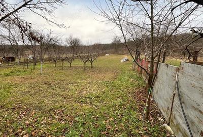 Casa de vanzare in comuna Helegiu - 5