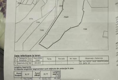 Teren de 20424 mp, în Cerbăl - 4