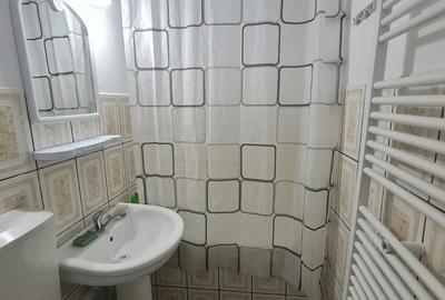 Cu gradina si 2 intrari, mobilat si utilat - 6