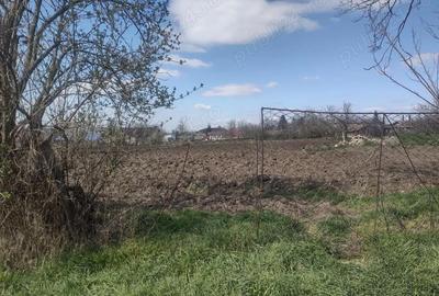 Teren de 2643 mp, în Chirnogeni - 2